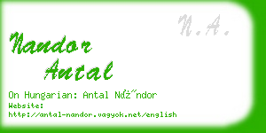 nandor antal business card